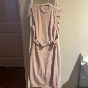 Pink Express Dress